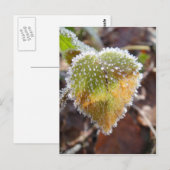 Herzförmiges Blatt mit Frost Postkarte (Vorne/Hinten)