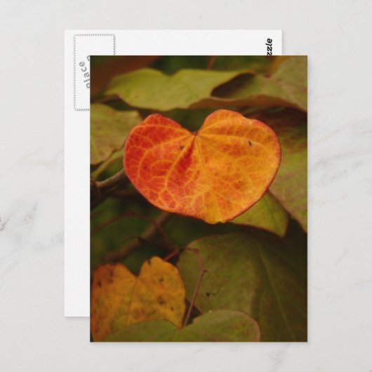 Herzgestalteter Herbstleaf Postkarte (Vorne/Hinten)