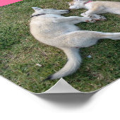 herzhaft poster (Ecke)