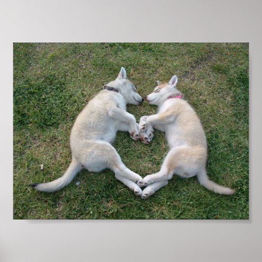 herzhaft poster (Vorne)