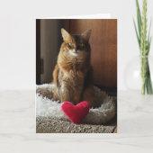 Herzkatze Somali Katze Valentinstag Karte (Vorderseite)