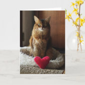 Herzkatze Somali Katze Valentinstag Karte (Gelbe Blume)
