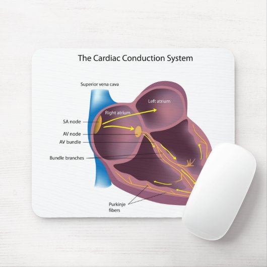 Herzleitungs-System Mousepad (Mit Mouse)
