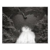 herzlich fotodruck (Vorne)