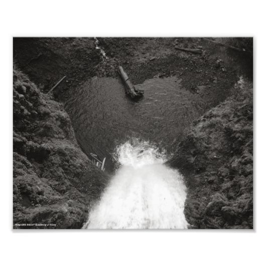 herzlich fotodruck (Vorne)