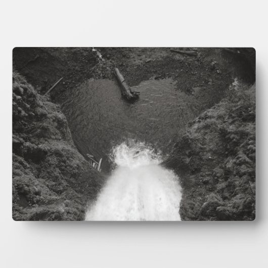 herzlich fotoplatte (Vorderseite)