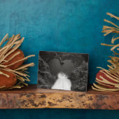 herzlich fotoplatte (Seite)