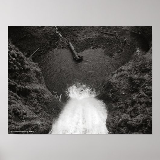 herzlich poster (Vorne)