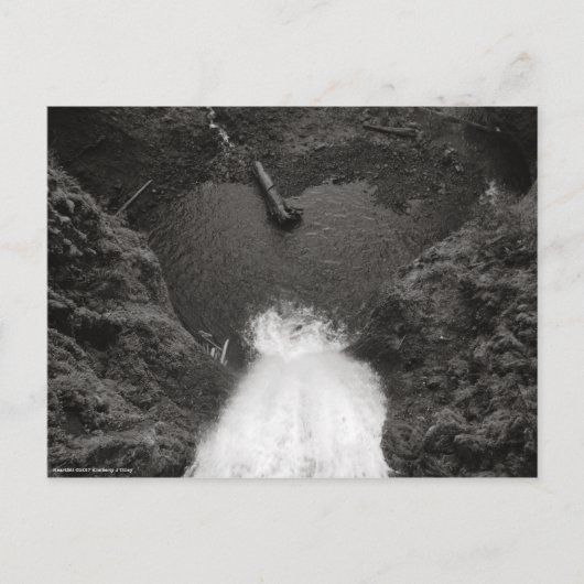 herzlich postkarte (Vorderseite)