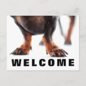 Herzlich Willkommen auf unserer Postkarte für Hund (Vorderseite)