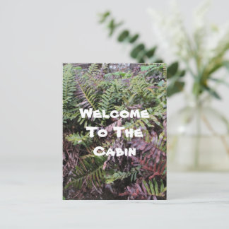 Herzlich willkommen bei Cabin Ferns Foto Forest Pf Postkarte