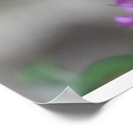 Herzlich Willkommen im Butterfly Garden Poster - S (Ecke)