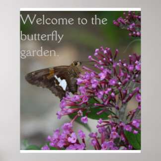 Herzlich Willkommen im Butterfly Garden Poster - S