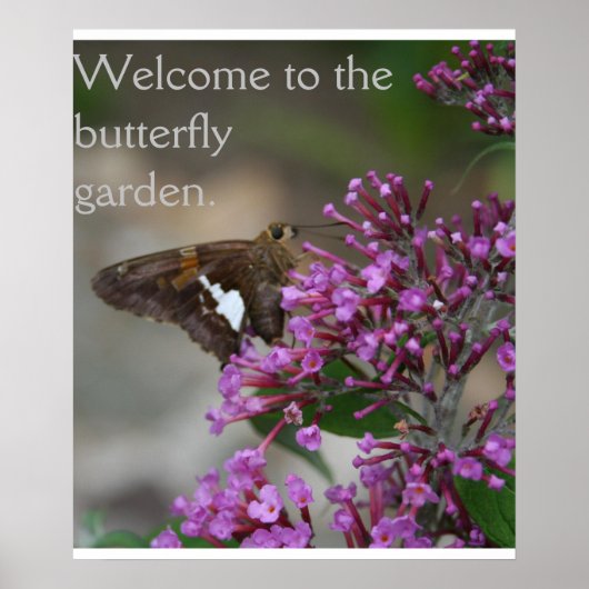 Herzlich Willkommen im Butterfly Garden Poster - S (Vorne)