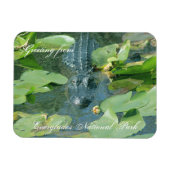 Herzlich Willkommen im Everglands Nat'l Park Magnet (Horizontal)