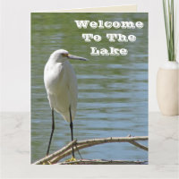 Herzlich Willkommen im Lake White Egret Foto