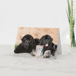 Herzlich willkommen wünscht Babykarte mit Neufundl Karte