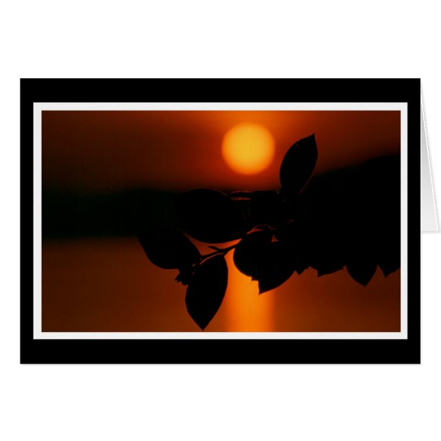 Herzliche Anteilnahme Karte (Vorderseite (Horizontal))