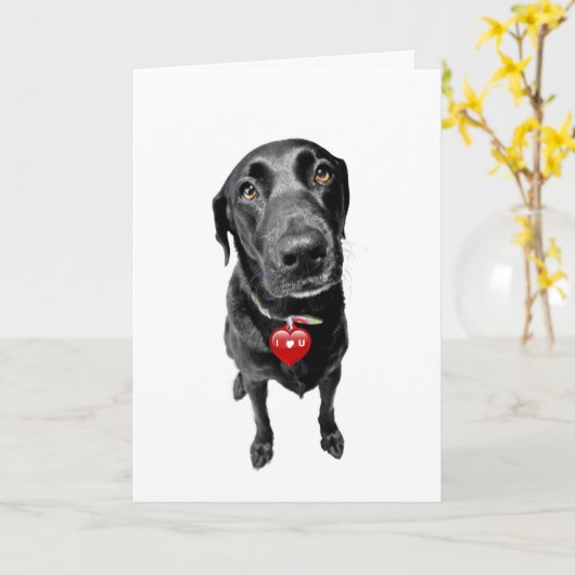 Herzliche Beileid Karte (Gelbe Blume)