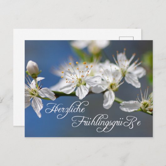 Herzliche Frühlingsgrüße Postkarte (Vorne/Hinten)