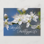 Herzliche Frühlingsgrüße Postkarte (Vorderseite)
