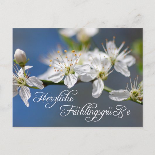 Herzliche Frühlingsgrüße Postkarte (Vorderseite)