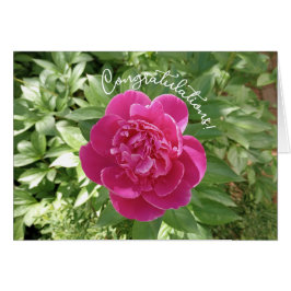 Herzliche Glückwunsch Card der rosafarbenen Blume