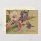 Herzliche Glückwünsche Blume Postkarte (Vorne/Hinten)