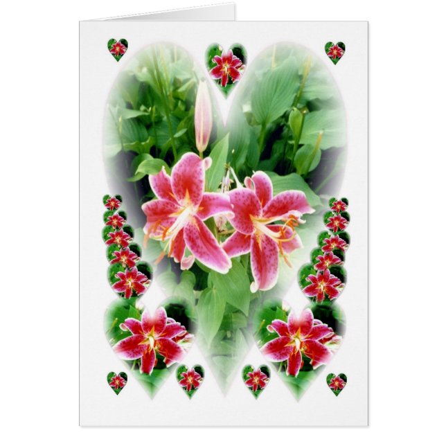 Herzliche Lilien (Vorne)