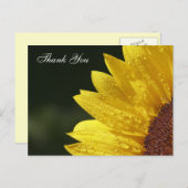 Herzlichen Dank an die Karten (Vorne/Hinten)