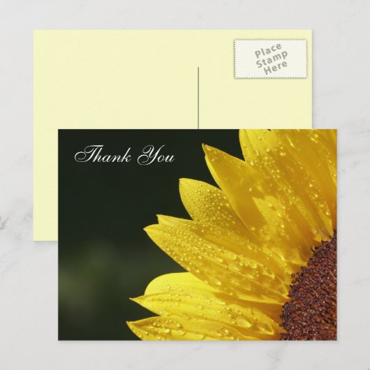 Herzlichen Dank an die Karten (Vorne/Hinten)