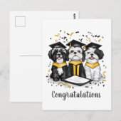 Herzlichen Glückwunsch Abschluss Shih Tzu Dogs Postkarte (Vorne/Hinten)