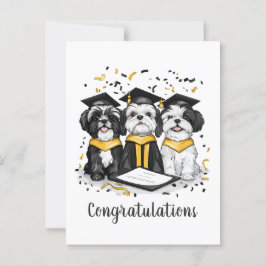Herzlichen Glückwunsch Abschluss Shih Tzu Dogs Postkarte