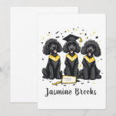 Herzlichen Glückwunsch Abschluss Standard Poodle H Ankündigung (Vorne/Hinten)