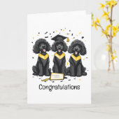 Herzlichen Glückwunsch Abschluss Standard Poodle H Karte (Gelbe Blume)
