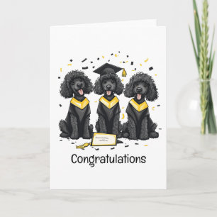 Herzlichen Glückwunsch Abschluss Standard Poodle H Karte