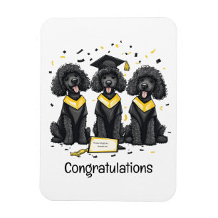 Herzlichen Glückwunsch Abschluss Standard Poodle H Magnet