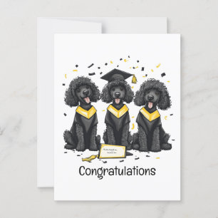 Herzlichen Glückwunsch Abschluss Standard Poodle H Postkarte