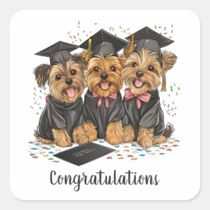 Herzlichen Glückwunsch Abschluss Yorkshire Terrier Quadratischer Aufkleber