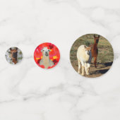 Herzlichen Glückwunsch Alpacas, Konfetti (Vorderseiten)