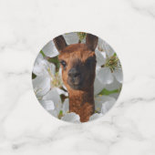 Herzlichen Glückwunsch Alpacas, Konfetti (Klein Vorderseite)