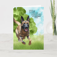 Herzlichen Glückwunsch an BARKable Belgische Malin
