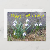 Herzlichen Glückwunsch an die Mutter! Postkarte (Vorne/Hinten)