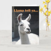 Herzlichen Glückwunsch an Funny Llama Karte (Gelbe Blume)