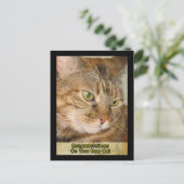 Herzlichen Glückwunsch an Ihre neue Katze Postkarte (Stehend Vorderseite)