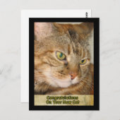Herzlichen Glückwunsch an Ihre neue Katze Postkarte (Vorne/Hinten)
