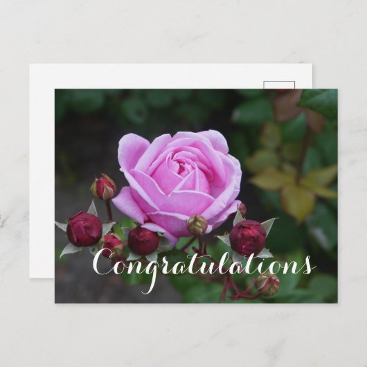 Herzlichen Glückwunsch Bischofsburg #1 Postkarte (Vorne/Hinten)