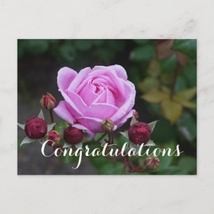 Herzlichen Glückwunsch Bischofsburg #1 Postkarte