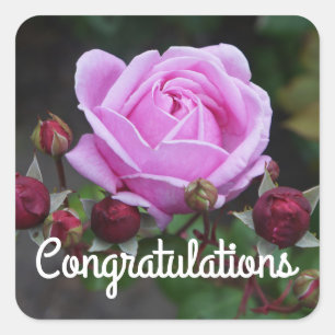 Herzlichen Glückwunsch Bischofsburg Rose#1 Aufkleb Quadratischer Aufkleber