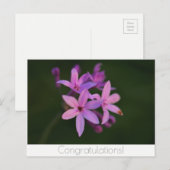 Herzlichen Glückwunsch Blume Postkarte (Vorne/Hinten)